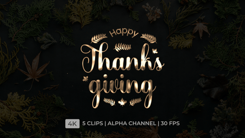 Happy Thanksgiving Lettering Animation