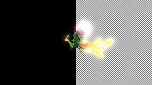 Phoenix Bird fliegt von rechts nach links, Alpha Channel