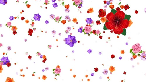 Falling Flowers Seamless Loop Alpha