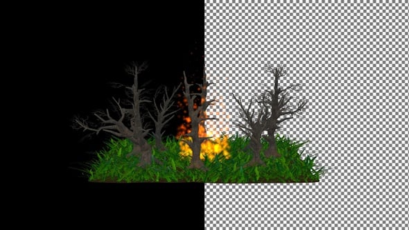 Nature scene in a scary forest with bonfire flames, Alpha Channel ...