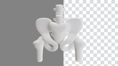 3D Animation of Waist Bone