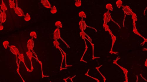 Walking Skeletons Muster 02