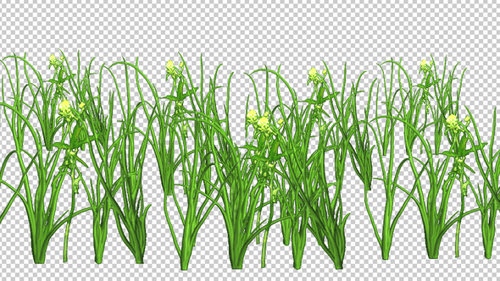 Animated Green Grass with Yellow Flowers Swaying Loop