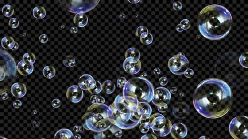 Realistic Soap Bubbles Floating Animation with Alpha Channel