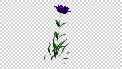 Animated Purple Flower Gently Swaying on Transparent Background