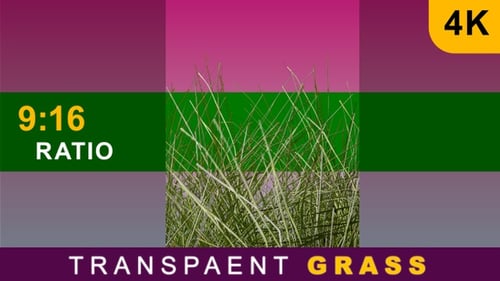 Green Grass Swaying Overlay Animation