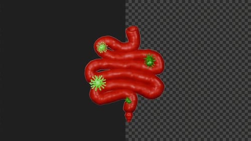 3D Cute Stylized Small Intestine Disease Animation | 4K | Alpha Channel | 6s
