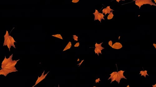 Realistic Falling autumn maple leaves. 3D .
