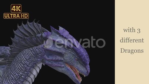 Complete Dragon Package : Blue Dragon