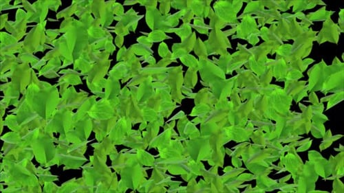 Abstract Fresh Green Baby Spinach Leaves Falling in Slow Motion Channel.