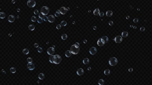 Animated Realistic Transparent Bubbles Floating Up