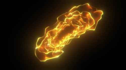 Abstract Fluid Golden Particle Flow Transition