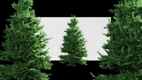 Weihnachtsbaum-Loop-Animation