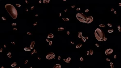 Falling Coffee Beans Loop with Alpha