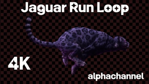 Weißes Jaguar Run Neon 4K