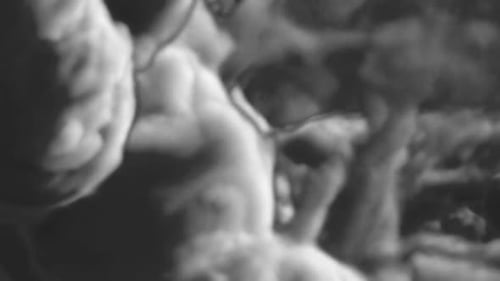 Smoke Transition With Alpha Channel