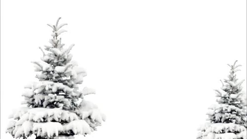 Snow-Covered Fir Tree Alpha Channel Overlay for Winter and Christmas