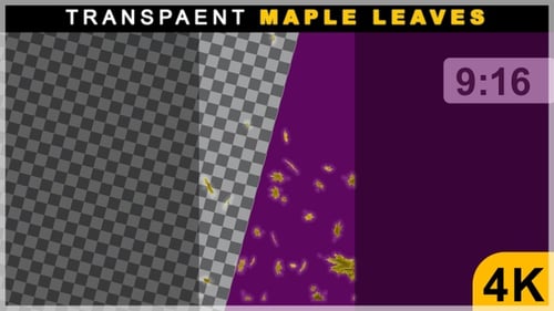 Portrait View Of Smoothly Floating Fall Season Maple Leaves On Transparent Background