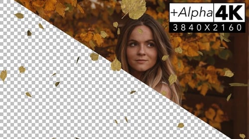 Falling Autumn Golden Leaves Overlay