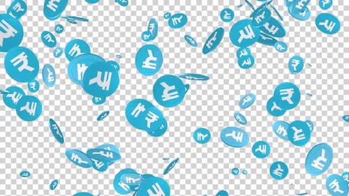 Rupee Currency Coin Falling Alpha Loop