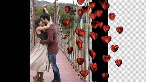 Glossy Red Hearts Falling Loop Animation