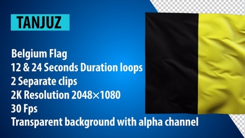 Waving Belgium Flag Animation with Alpha Channel for Official Use