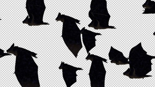 Bats Flying Transparent Background V.1