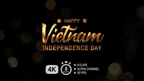 Happy Vietnam Independence Day Text Animation