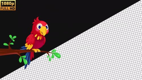Parrot 2D Animated |Alpha channel