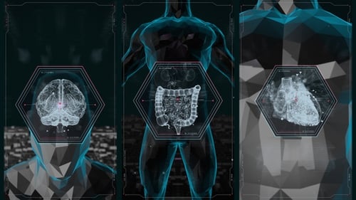 Paquete de interfaz de usuario Hud de Organs Vertical