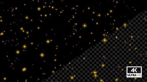 Cielo nocturno dorado, estrellas centelleantes, Alpha Loop