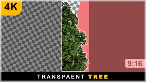 Portrait View Realistic Render One Side Tree On Transparent Background