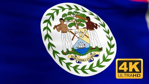 Belize National Flag Waving in Realistic Loop