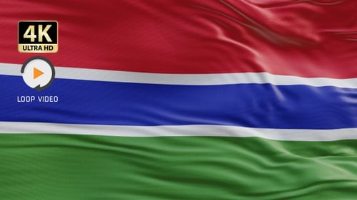 Realistic Waving Flag Logo Reveal Animation