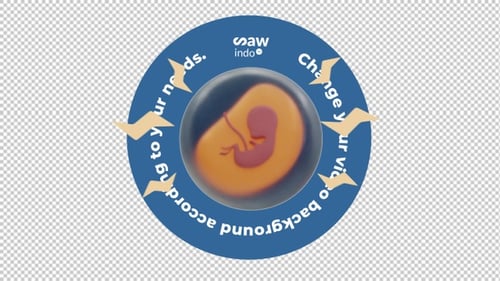 Animação 3D Doença da Gravidez - Loop de fundo transparente