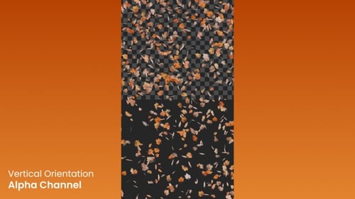 Realistic Falling Autumn Maple Leaves Loop with Alpha Channel