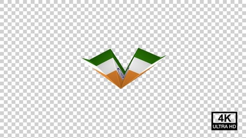 Drapeau de l'avion en papier de l'Inde V3