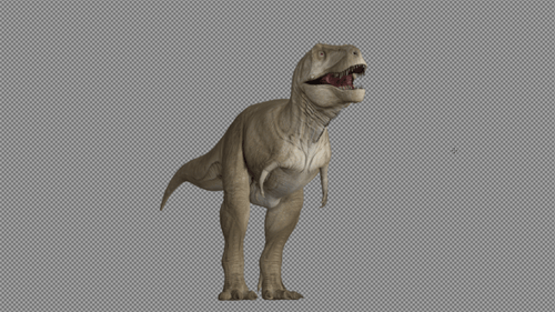 Dinosaur Walk And Roar