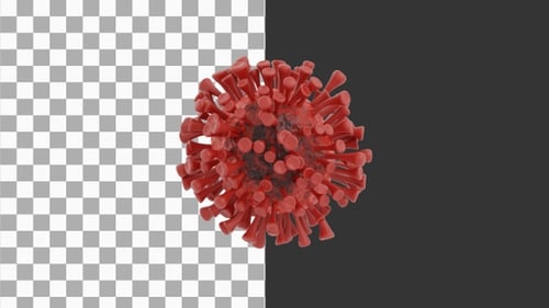 3D Animation of Hepatitis virus | Alpha Channel
