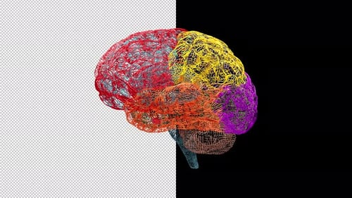 Abstract Wireframe Brain Animation with Dynamic Color Changes