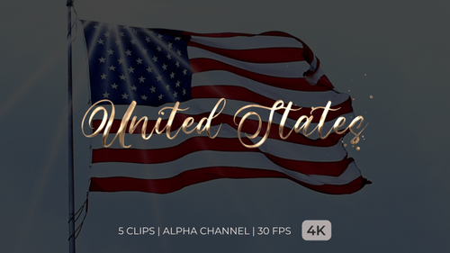 Elegant Metallic Handwritten Text Reveal with Particles