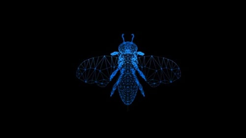 Futuristic Digital Wireframe Bee Animation