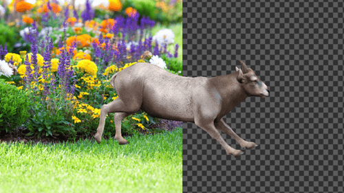 Beceite Ibex Run Seitenwinkelansicht