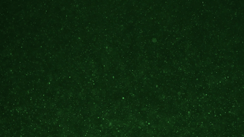 Green densely dust particles and fly in the air