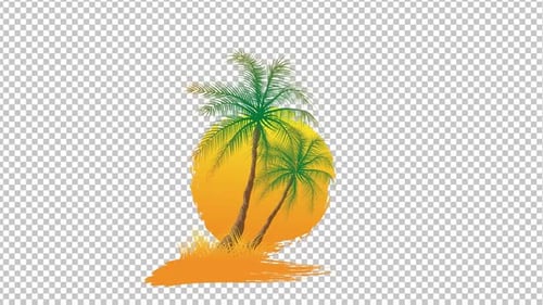 Coconut Tree