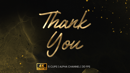 Elegant Metallic Gold Thank You Text Writing Animation