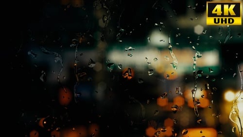 Rain In City Video V1