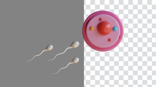 3D Animation of Sperm Biology of Reproduction Insights into Fertility and Genetics | Alpha Channel