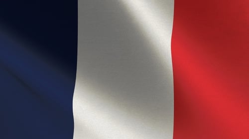 3D Rendered Waving French Flag Loop