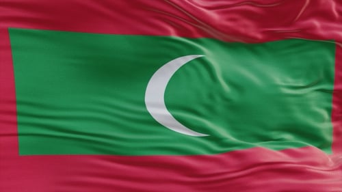 Realistic Waving Fabric Flag Animation